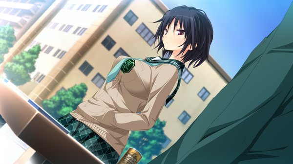 Anime picture 1280x720 with hapymaher purple software tagme (character) koku looking at viewer blush short hair breasts black hair wide image large breasts purple eyes game cg sky turning head hand in pocket girl boy skirt uniform
