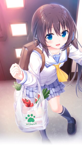 Anime picture 1085x1906 with onii-chan asa made zutto gyu tte shite! onami kohaku k.y ko single long hair tall image looking at viewer blush fringe open mouth blue eyes hair between eyes brown hair from above loli side ponytail plaid skirt girl skirt uniform
