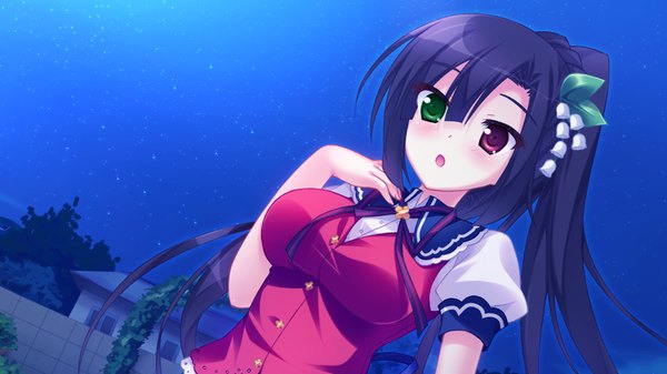 Anime picture 1084x610 with ore to 5-nin no yome-san ga raburabu nano wa mirai kara kita aka-chan no okage ni chigainai! pan (mimi) long hair blush black hair wide image game cg ponytail night heterochromia girl uniform school uniform