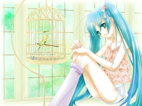 Anime picture 1024x768 with vocaloid hatsune miku green eyes green hair girl parrot shiraou