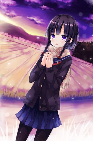 Anime picture 797x1209 with original mizumidori single long hair tall image looking at viewer fringe open mouth standing purple eyes sky purple hair cloud (clouds) outdoors braid (braids) pleated skirt twin braids field girl skirt