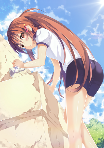 Anime picture 1200x1696 with little busters! key (studio) natsume rin tempestdh single long hair tall image blush brown hair brown eyes sky cloud (clouds) ponytail sunlight :o from below coloring girl uniform plant (plants)