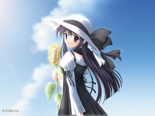 Anime picture 1024x768 with suika (game) shirakawa sayaka nanao naru ikuta takanon single long hair looking at viewer fringe black hair hair between eyes purple eyes sky purple hair cloud (clouds) from behind character names third-party edit girl dress hat