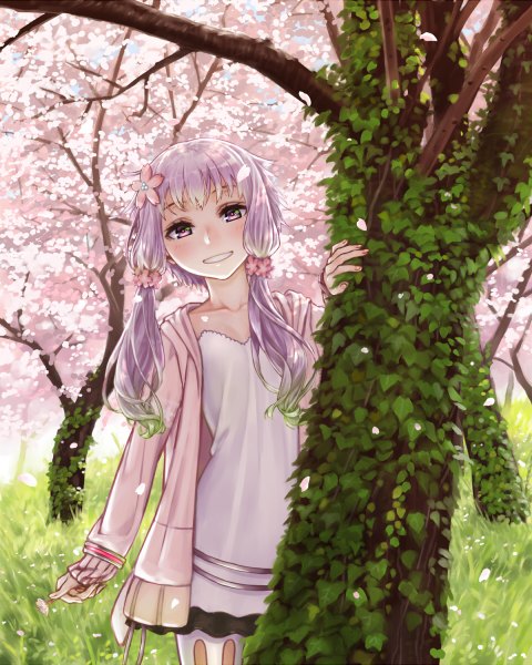 Anime picture 960x1200 with vocaloid voiceroid yuzuki yukari yuzuki yukari (onn) kawazu single long hair tall image looking at viewer blush fringe smile standing purple eyes twintails purple hair cherry blossoms low twintails spring girl