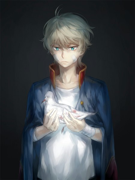 Anime picture 750x1000 with aldnoah.zero a-1 pictures slaine troyard kanmuri (hanyifan30338) single tall image fringe short hair blue eyes blonde hair simple background holding ahoge lips looking down dark background sad bandaid on face bird on hand boy