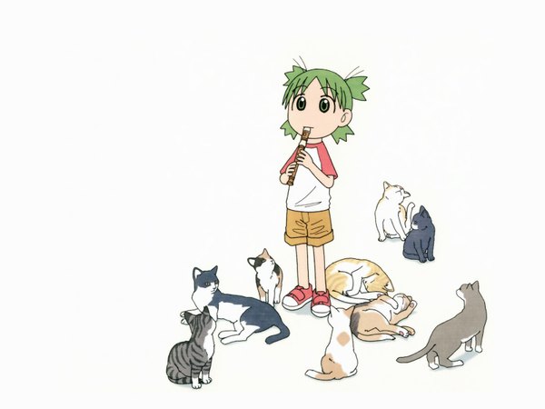 Anime picture 1600x1200 with yotsubato koiwai yotsuba azuma kiyohiko white background music cat