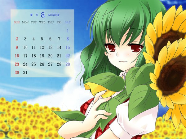 Anime picture 1024x768 with touhou kazami yuuka girl calendar rinko
