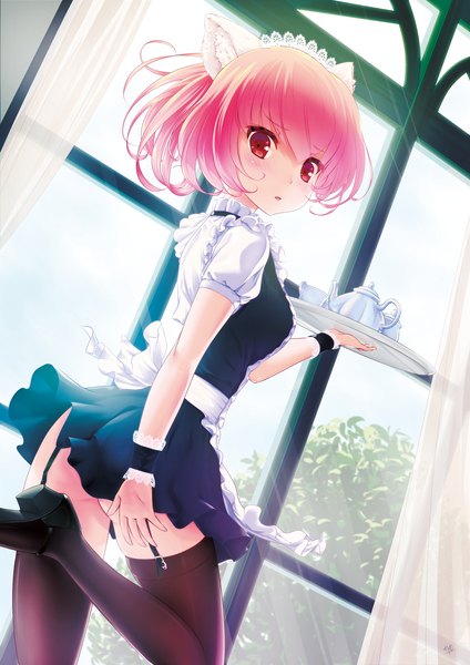 Anime picture 1447x2047 with original suzumiya kyo (kyo21413) single tall image looking at viewer fringe short hair light erotic red eyes holding animal ears pink hair bent knee (knees) indoors looking back cat ears maid revision girl thighhighs