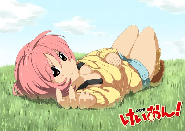 Anime picture 3502x2475 with k-on! kyoto animation miura akane dodome-iro mayonnaise single highres brown eyes pink hair absurdres cleavage girl plant (plants) shorts grass