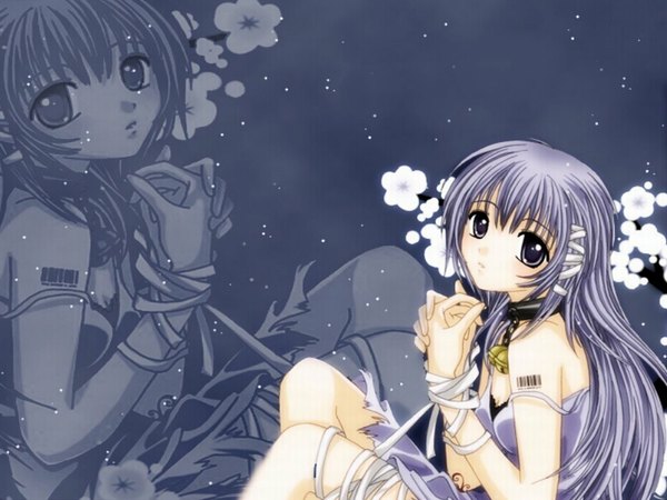 Anime picture 1024x768 with original single long hair looking at viewer sitting purple eyes strap slip third-party edit bell collar zoom layer tress ribbon borrowed character extended girl dress flower (flowers) ribbon (ribbons) hair ribbon bell jingle bell
