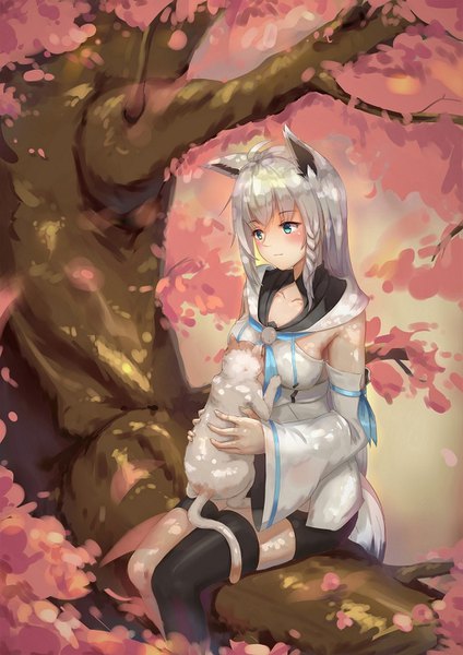 Anime picture 1024x1448 with virtual youtuber hololive shirakami fubuki shirakami fubuki (1st costume) caisena single long hair tall image blush fringe sitting holding animal ears looking away silver hair tail braid (braids) animal tail aqua eyes wide sleeves