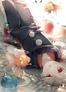 Anime-Bild 718x1000