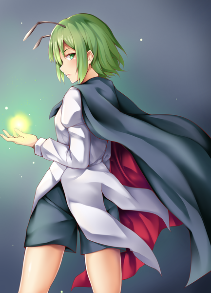 Anime picture 2024x2804 with touhou wriggle nightbug koizumo single tall image looking at viewer highres short hair simple background standing green eyes profile looking back green hair from behind antennae girl shorts cape