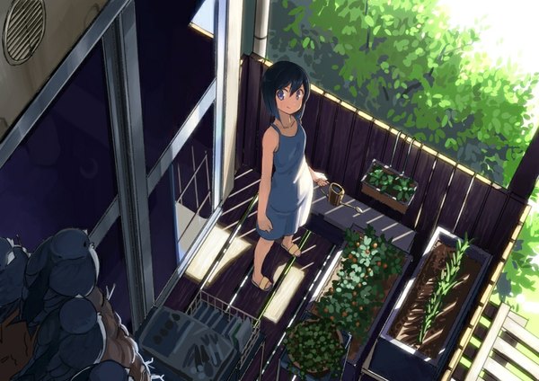 Anime picture 800x566 with original domo1220 single looking at viewer fringe short hair blue eyes black hair smile standing holding sunlight shadow girl dress flower (flowers) plant (plants) tree (trees) shoes window