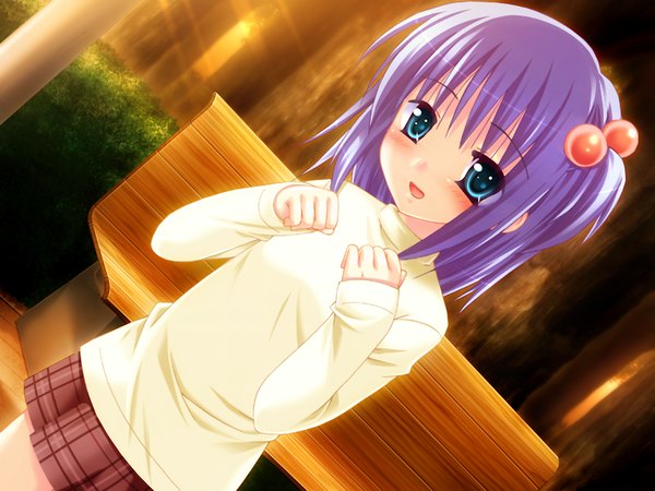 Anime picture 1024x768 with zettai imouto shijoushugi (game) blue eyes game cg purple hair girl