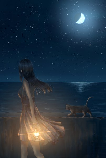 Anime picture 986x1462 with original tanpaku-chan single long hair tall image breasts black hair holding looking away outdoors from behind night night sky floral print horizon walking crescent girl dress animal