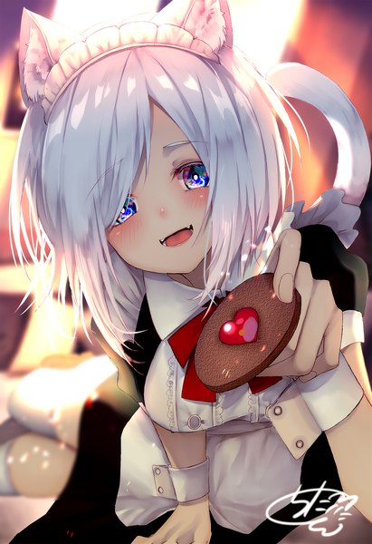 Anime picture 1371x2000 with original chita (ketchup) single tall image looking at viewer blush fringe short hair open mouth blue eyes holding signed animal ears silver hair tail :d animal tail cat ears hair over one eye maid