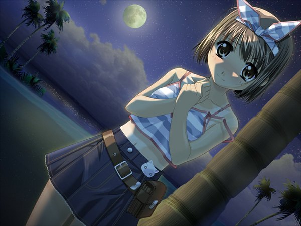Anime picture 1024x768 with blue lagoon (game) lola andalusia single brown hair brown eyes game cg girl moon