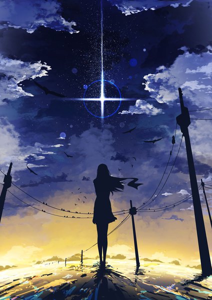 Anime picture 700x990 with original sinana long hair tall image standing sky cloud (clouds) full body wind sunlight lens flare evening sunset silhouette girl animal water bird (birds) power lines