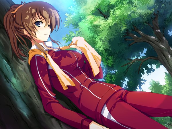 Anime picture 2560x1920 with akatsuki no goei miyagawa kiyomi tomose shunsaku single looking at viewer highres short hair blue eyes brown hair game cg ponytail towel around neck girl uniform plant (plants) tree (trees) gym uniform towel