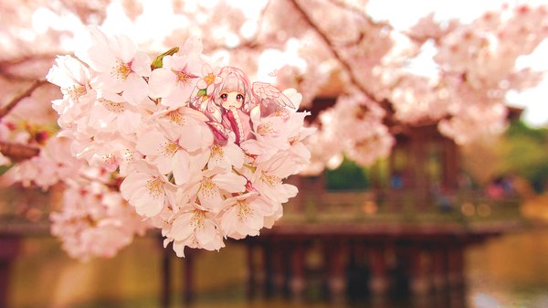 Anime-Bild 1920x1079 mit original nishita single long hair looking at viewer blush fringe highres open mouth wide image long sleeves pink eyes hair flower realistic wide sleeves cherry blossoms girl hair ornament flower (flowers) plant (plants)
