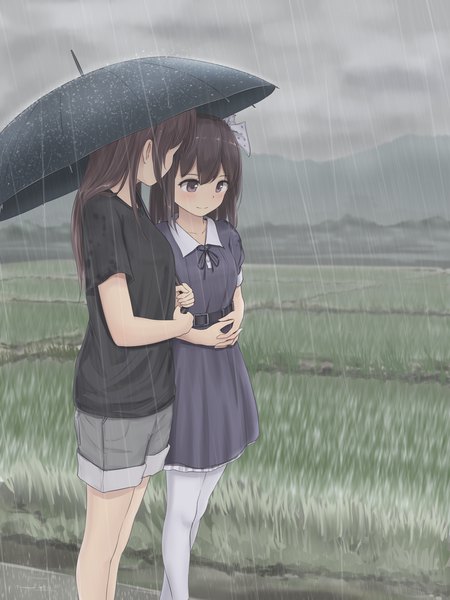 Anime picture 1200x1600 with original minagiku long hair tall image blush fringe black hair multiple girls outdoors light smile black eyes looking down rain mountain wet clothes walking hands clasped nature field shared umbrella