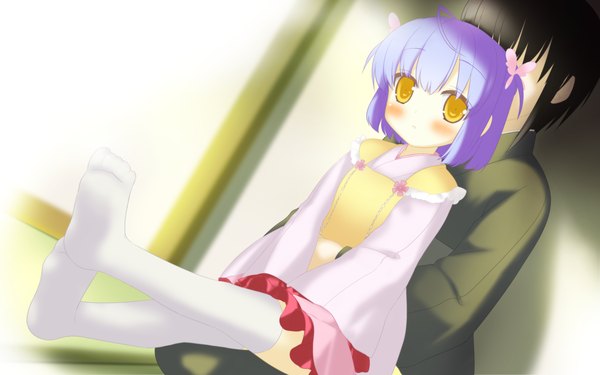 Anime picture 2048x1280 with irotoridori no sekai shikishima kyou shida kazuhiro blush highres short hair wide image yellow eyes game cg purple hair loli girl thighhighs white thighhighs