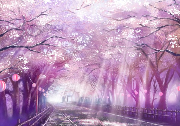 Anime picture 1500x1054 with original monorisu sunlight cherry blossoms landscape scenic nature fog morning plant (plants) petals tree (trees) lantern fence road paper lantern