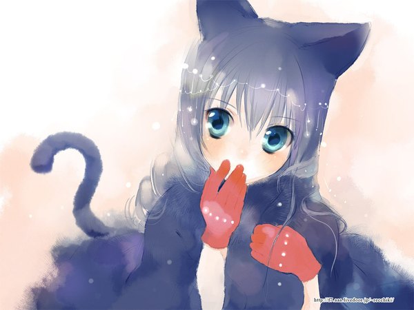 Anime picture 1024x768 with original 888 animal ears tail cat ears gloves tagme