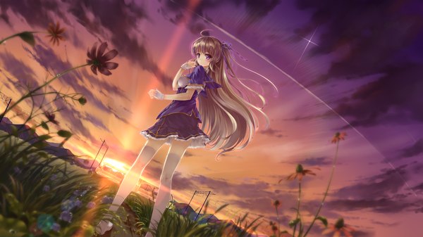 Anime picture 1920x1080 with toshi (www000wj) single long hair highres brown hair wide image brown eyes sky cloud (clouds) looking back sunlight evening sunset scenic girl thighhighs flower (flowers) white thighhighs serafuku wrist cuffs