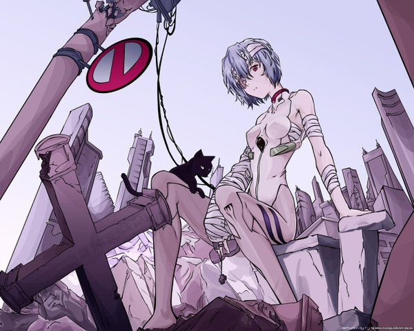 Anime picture 1280x1024 with neon genesis evangelion rebuild of evangelion evangelion: 2.0 you can (not) advance gainax ayanami rei red eyes sitting blue hair sky city ruins bandage over one eye girl animal cat bandage (bandages) eyepatch cross suit skyscraper