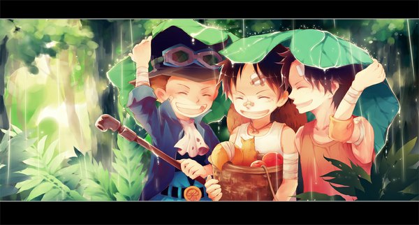 Anime picture 1100x591 with one piece toei animation monkey d. luffy portgas d. ace sabo (one piece) siriusplanet short hair black hair smile wide image eyes closed multiple boys scar rain freckles bandaid on nose boy plant (plants) hat animal
