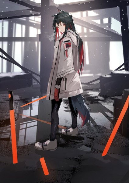 Anime picture 1448x2048 with arknights texas (arknights) yoshio (55level) single long hair tall image looking at viewer fringe black hair standing holding brown eyes animal ears payot full body indoors tail head tilt animal tail looking back