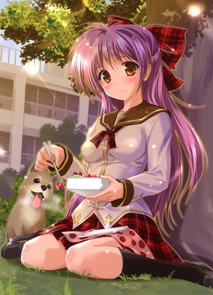 Anime picture 2057x2846 with original komatsu eiji long hair tall image blush highres sitting purple hair orange eyes girl uniform bow plant (plants) hair bow school uniform tree (trees) socks food black socks dog