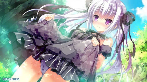 Anime picture 800x450 with d.s. -dal segno- circus (studio) kouzuki io single long hair blush light erotic wide image purple eyes twintails game cg sky silver hair cloud (clouds) from below dutch angle embarrassed skirt lift lolita fashion goth-loli