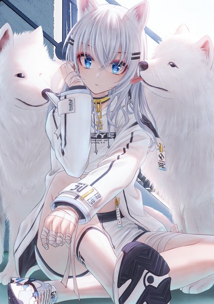 Anime picture 2894x4093 with tsumi no hahen (debris) saye (bae.c) bae.c single long hair tall image looking at viewer fringe highres blue eyes hair between eyes sitting animal ears white hair long sleeves open jacket midriff soles hand on face girl