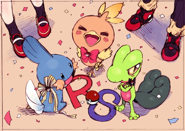 Anime picture 1000x708 with pokemon pokemon rse nintendo may (pokemon) mudkip torchic ruby (pokemon) treecko amezawa koma open mouth from above gen 3 pokemon girl boy animal bird (birds) confetti pokeball