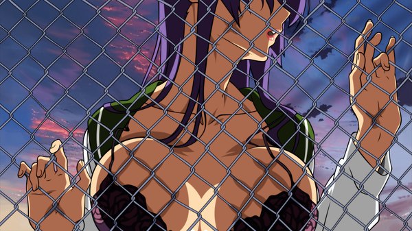 Anime picture 1920x1080 with highschool of the dead madhouse busujima saeko single long hair highres open mouth light erotic wide image purple hair open clothes vector breast press uniform school uniform