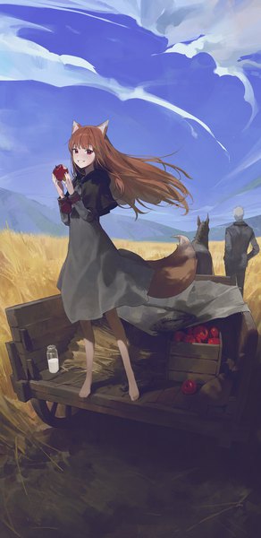 Anime picture 1500x3085 with spice and wolf horo craft lawrence modare long hair tall image looking at viewer short hair smile red eyes brown hair standing animal ears sky silver hair cloud (clouds) full body tail animal tail barefoot