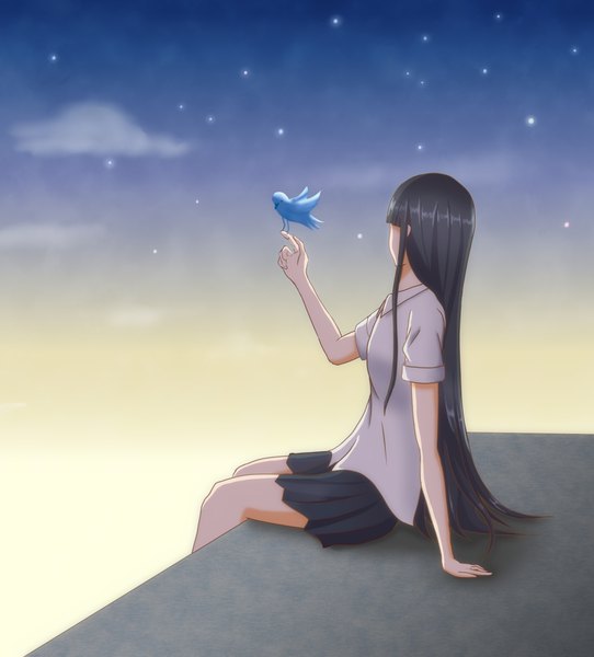 Anime picture 1077x1192 with original tanpaku-chan single long hair tall image fringe black hair sitting holding payot looking away sky cloud (clouds) bent knee (knees) outdoors blunt bangs pleated skirt arm up arm support short sleeves