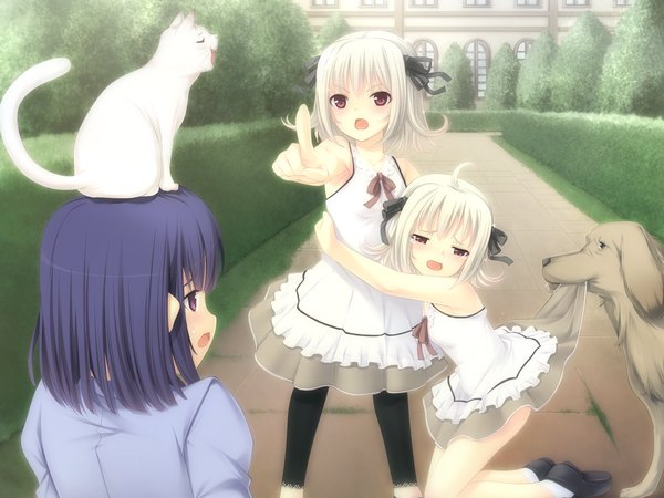 Anime picture 1600x1200 with tenshi no hane wo fumanaide short hair open mouth black hair red eyes standing multiple girls game cg outdoors white hair animal on head girl animal 3 girls cat child (children) dog