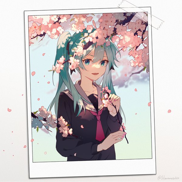 Anime picture 1536x1536 with vocaloid hatsune miku hua ben wuming single long hair looking at viewer fringe open mouth blue eyes hair between eyes twintails holding signed upper body :d aqua hair twitter username cherry blossoms girl uniform