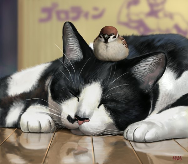 Anime picture 1000x875 with original matataku eyes closed hieroglyph reflection sleeping muscle boy animal bird (birds) cat