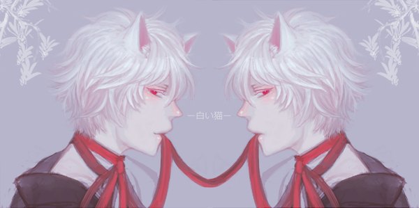 Anime picture 1400x698 with su-jinko looking at viewer short hair simple background red eyes wide image holding animal ears white hair cat ears mouth hold hieroglyph ribbon in mouth boy ribbon (ribbons)