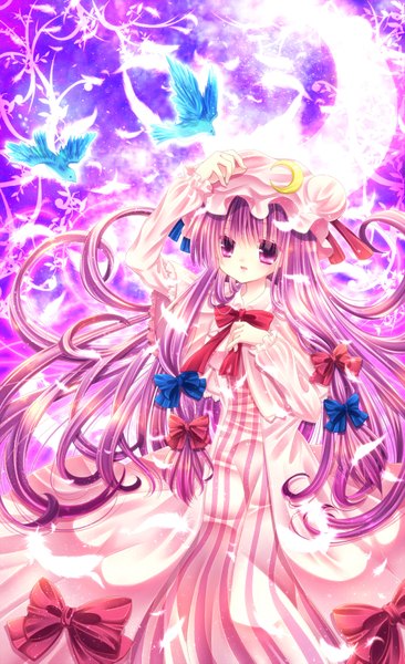 Anime picture 1000x1635 with touhou patchouli knowledge momomiya mion single long hair tall image looking at viewer purple eyes purple hair crescent girl dress bow hair bow animal bird (birds) bonnet