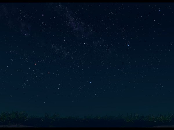 Anime picture 1024x768 with original sawayan69 sky night night sky no people plant (plants) star (stars) grass