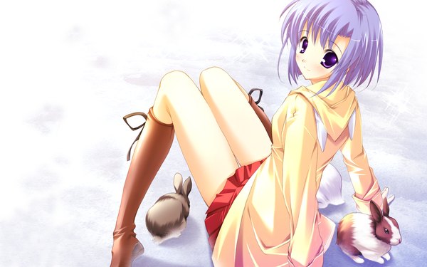 Anime picture 1680x1050 with mikeou single looking at viewer blush fringe short hair smile wide image sitting purple eyes purple hair looking back from above wallpaper girl skirt animal hood knee boots bunny