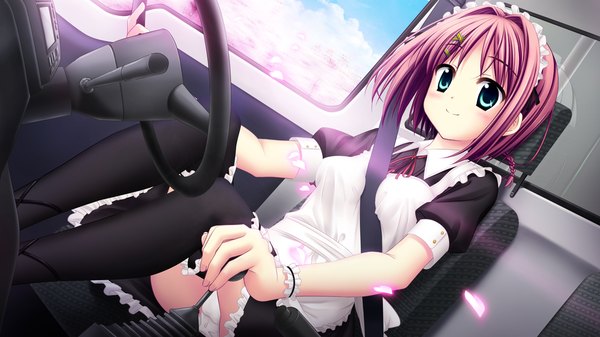 Anime picture 1280x720 with sakura sakimashita haruno tsubame akizuki tsukasa blush short hair blue eyes light erotic wide image game cg purple hair maid cherry blossoms pantyshot sitting girl thighhighs black thighhighs petals headdress maid headdress ground vehicle