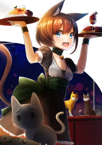 Anime picture 1447x2047 with original nekodayo22 single tall image looking at viewer blush fringe short hair open mouth blue eyes simple background hair between eyes brown hair holding animal ears cleavage tail animal tail cat ears teeth