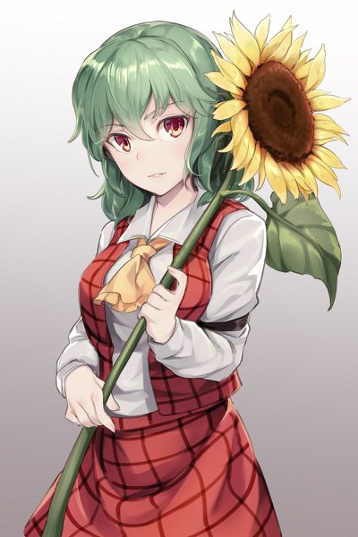 Anime picture 800x1200 with touhou kazami yuuka asutora single tall image looking at viewer fringe short hair simple background hair between eyes red eyes green hair grey background gradient background girl skirt flower (flowers) vest skirt set red skirt